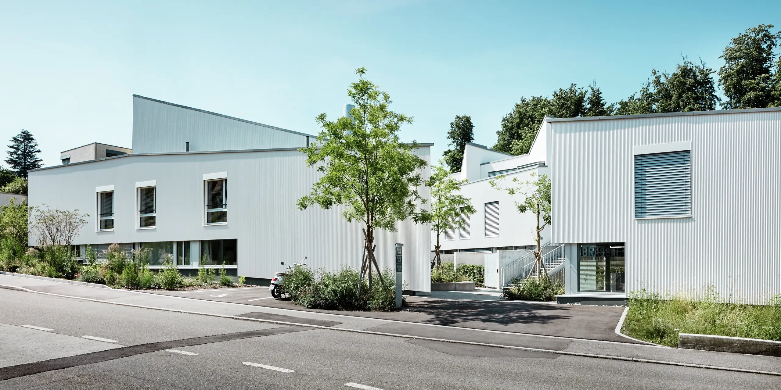 Straßenansicht der modernen Tiny Homes in Zollikerberg mit homogener Fassadengestaltung aus PREFA Zackenprofilen in P.10 Reinweiß. Die Gebäude wirken durch ihre reduzierte Architektur, die klare Linienführung und das langlebige PREFALZ Dach in Patinagrau besonders hochwertig. PREFA Aluminium überzeugt mit Wetterbeständigkeit, Langlebigkeit und eleganter Ästhetik. Die gepflegten Bäume und pflanzen schaffen eine angenehme Atmosphäre und lockern die reduzierte Farbgestaltung auf.