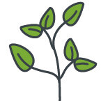 branche stylisée dont les feuilles représentent les valeurs PREFA