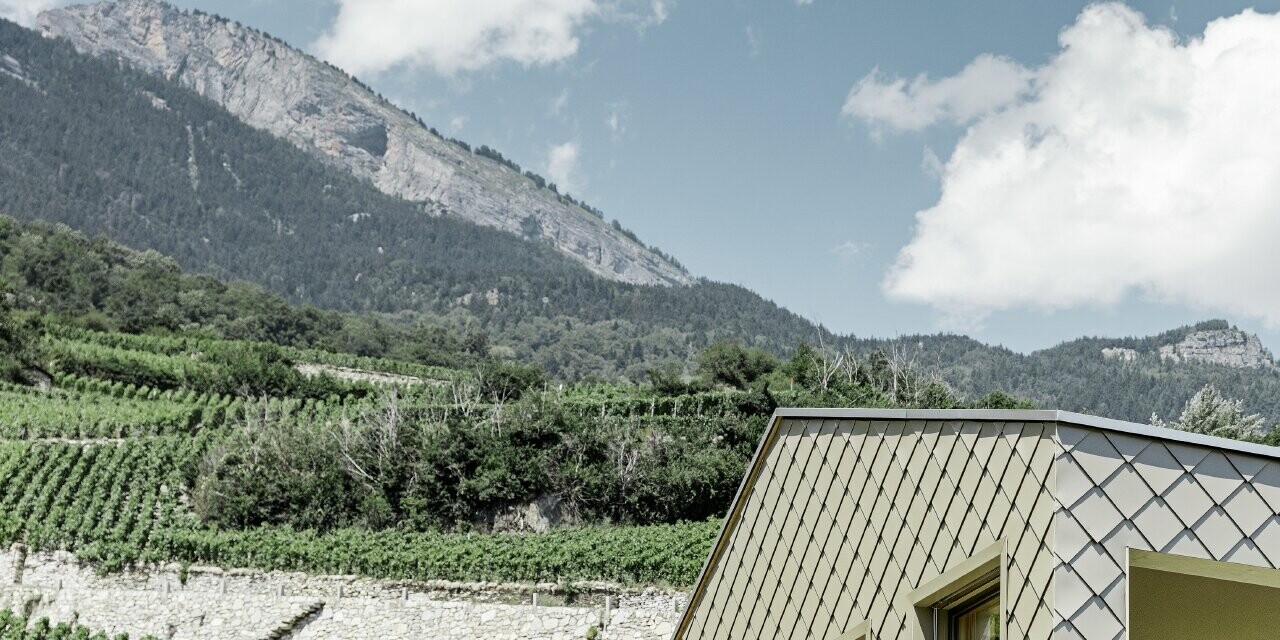 Casa unifamiliare moderna in mezzo ai vigneti della valle Rhône con 4 superfici di copertura differenti e un attico con una facciata in scaglia in bronzo