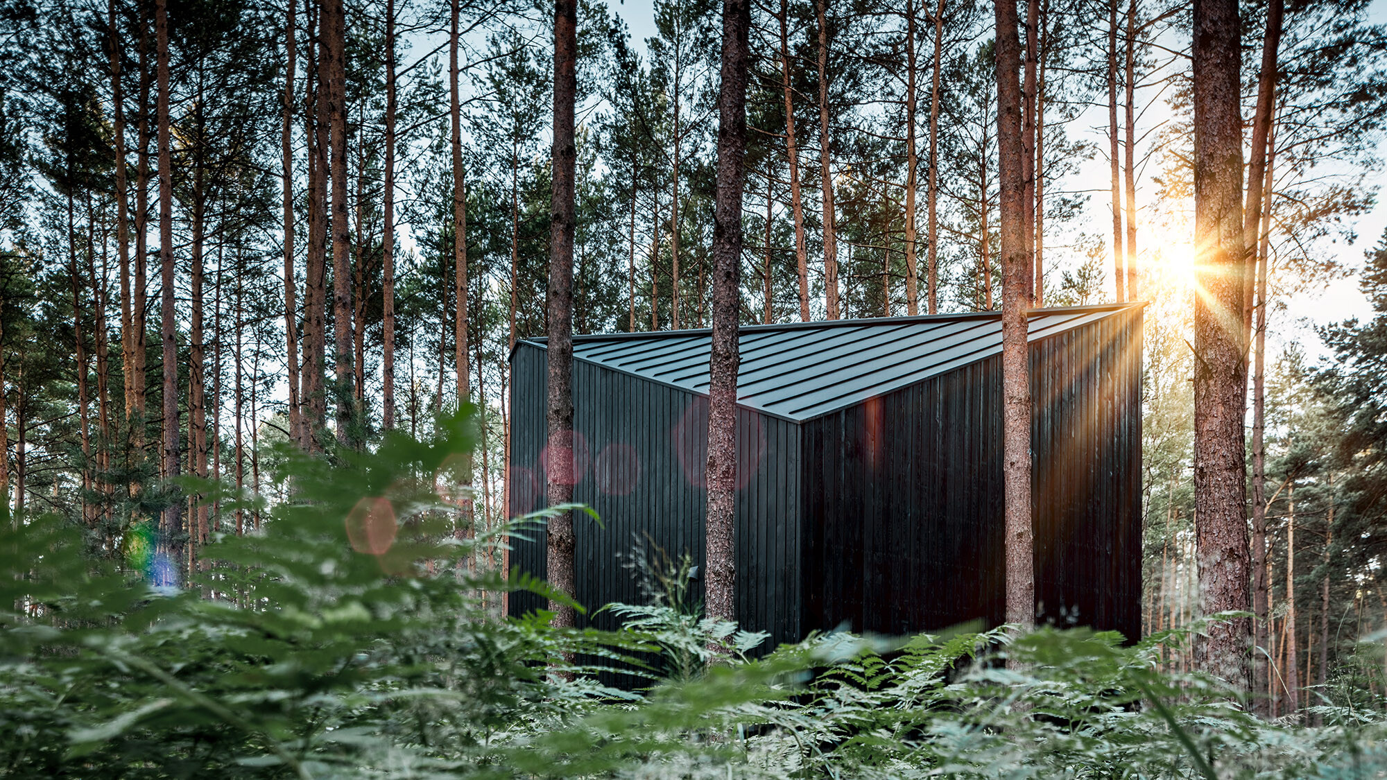 La maison de vacances se démarque avec sa façade en bois sombre et son toit noir en PREFA au milieu des pins.