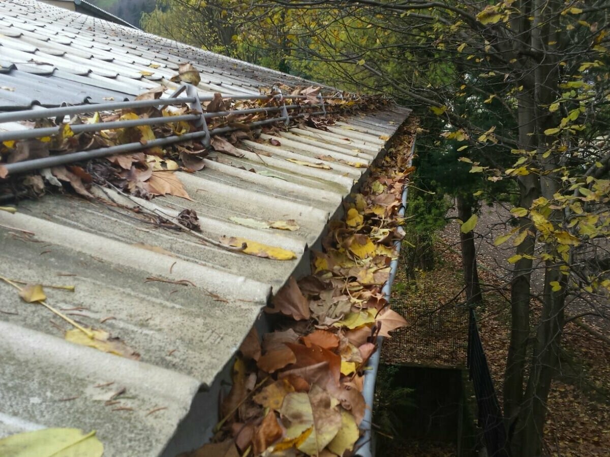 Canale di gronda con molto fogliame autunnale, pulire i canali di gronda ostruiti