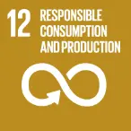 Obiettivo di sviluppo sostenibile n. 12: Modelli di consumo e produzione responsabili