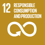 Obiettivo di sviluppo sostenibile n. 12: Modelli di consumo e produzione responsabili