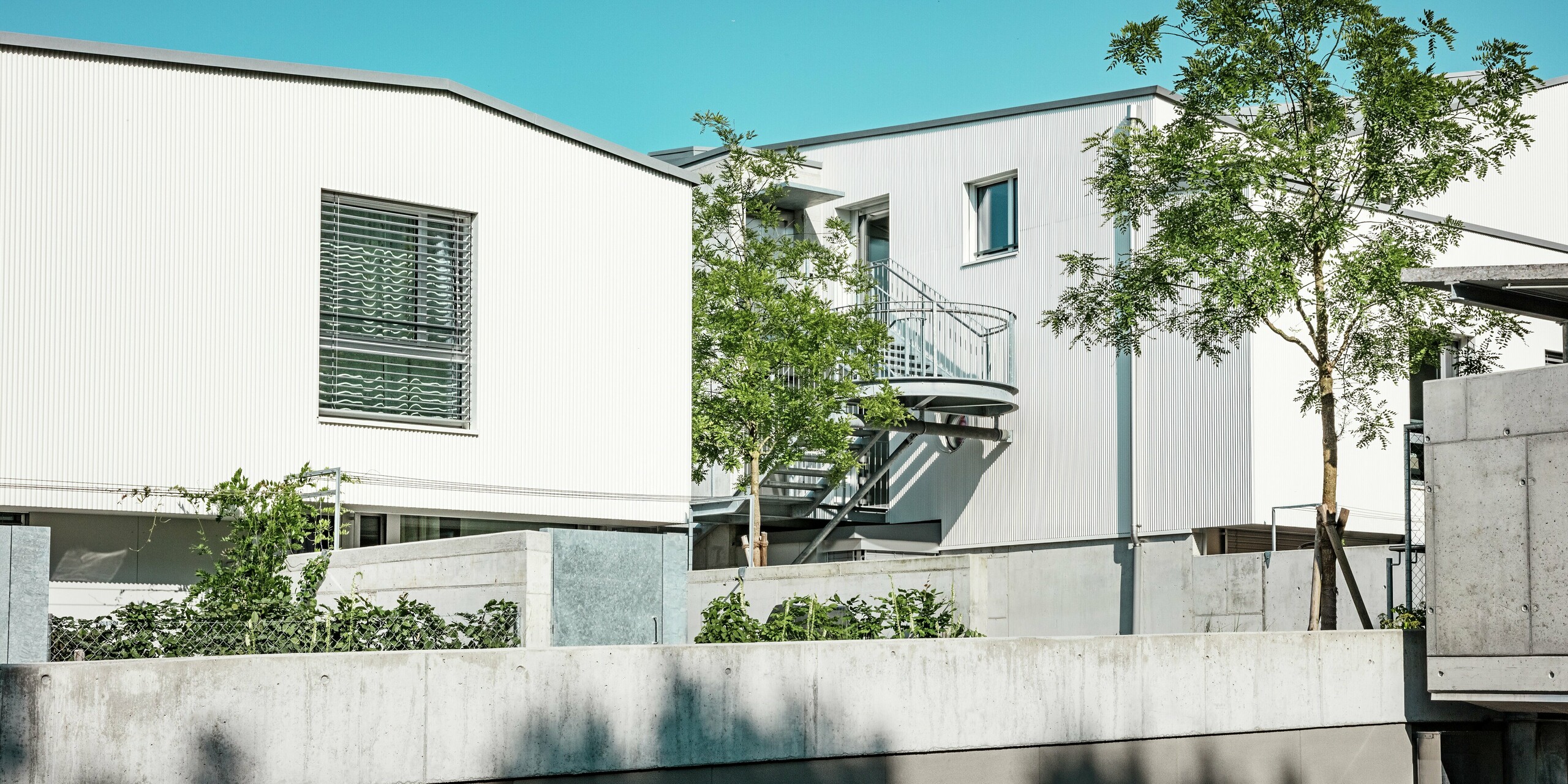 Blick auf den modernen Tiny Homes Wohnkomplex in Zollikerberg mit Fassaden aus PREFA Zackenprofil in P.10 Reinweiß. Die präzise Linienstruktur des stranggepressten Aluminiums erzeugt ein elegantes Lichtspiel, während bodentiefe Fenster und eine markante Außentreppe das architektonische Bild auflockern. Die PREFA Materialien bieten langlebigen Schutz, sind pflegeleicht und perfekt für kompakte Bauformen geeignet.