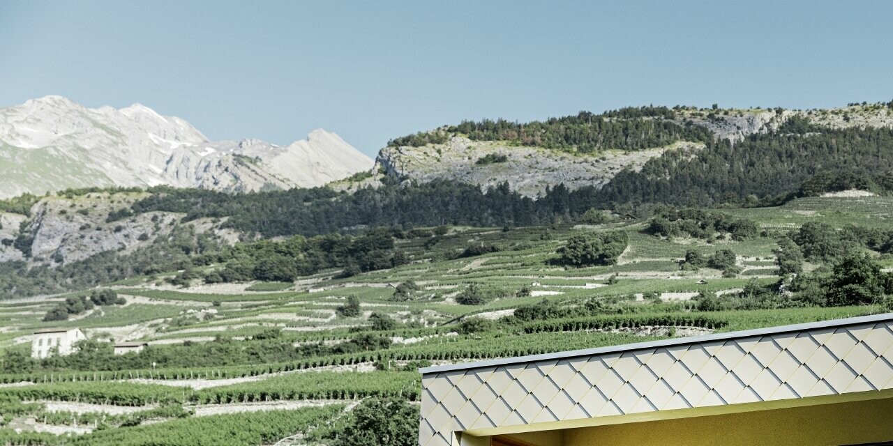 Casa unifamiliare moderna in mezzo ai vigneti della valle Rhône con 4 superfici di copertura differenti e un attico con una facciata in scaglia in bronzo