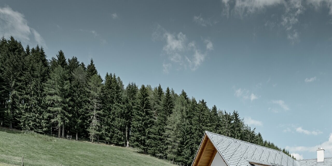 Construite en forme de L et à flanc de coteau, cette maison individuelle présente un toit à deux pans avec deux lucarnes rampantes. La toiture a été recouverte de bardeaux de toiture PREFA couleur gris pierre. Un étang se trouve au premier plan et on peut voir une forêt en arrière plan.