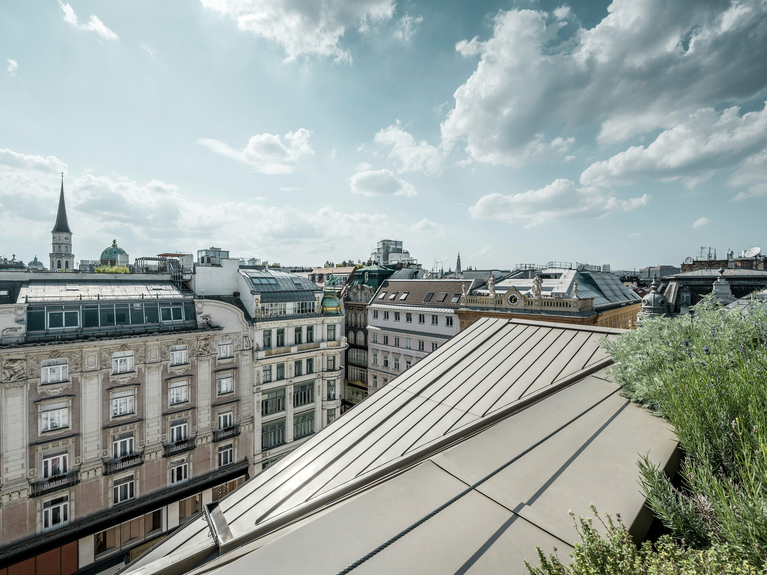 Weiter Blick auf die Dächer von Wien, rechts im Bild sind Prefalz-Bahnen ersichtlich, daneben eine Begrünung.