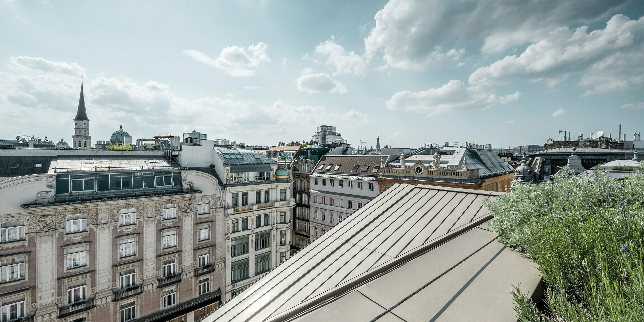 Weiter Blick auf die Dächer von Wien, rechts im Bild sind Prefalz-Bahnen ersichtlich, daneben eine Begrünung.