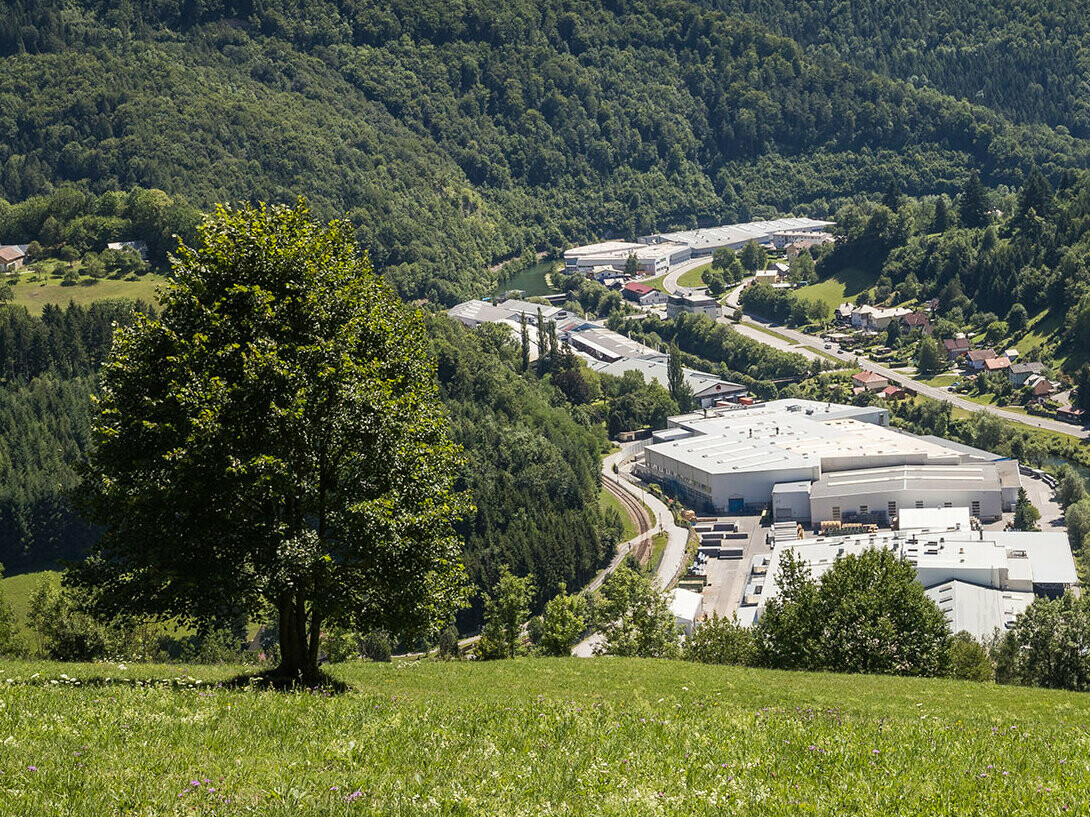 Photo de l'usine PREFA à Marktl depuis l’une des collines environnantes, avec arbre sur espace vert au premier plan et grandes forêts de Lilienfelder en arrière-plan