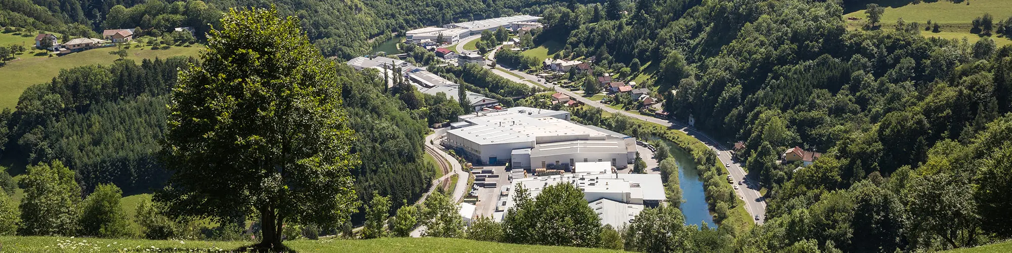 Photo de l'usine PREFA à Marktl depuis l’une des collines environnantes, avec arbre sur espace vert au premier plan et grandes forêts de Lilienfelder en arrière-plan