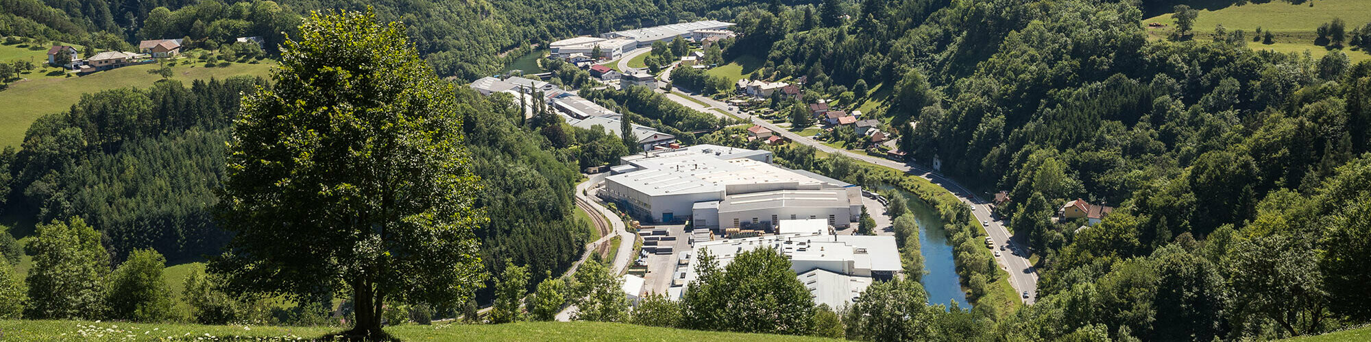 Foto dello stabilimento PREFA di Marktl da una delle colline circostanti; in primo piano è visibile un albero su un prato verde, sullo sfondo si osservano i vasti boschi di Lilienfeld.