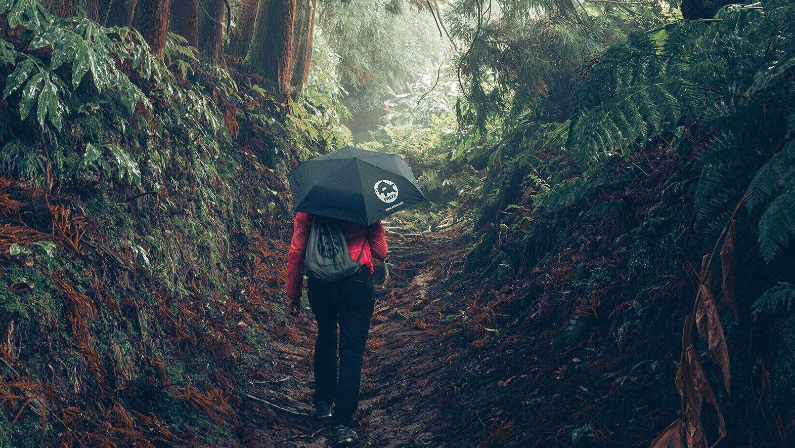 La foto nella foresta con l'escursionista in giacca rossa con ombrello e borsa da ginnastica PREFA simboleggia la tutela dell’ambienta e la sostenibilità di PREFA, nonché l'economia circolare e il riciclo.