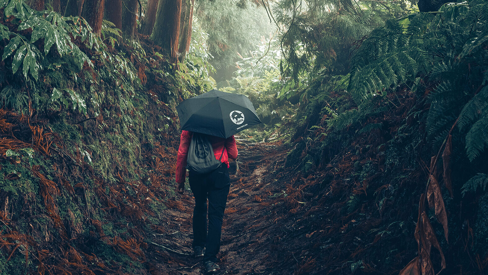 Photo : promeneuse en forêt, en veste rouge avec parapluie et sac à dos PREFA, symbolisant la protection de l’environnement et la durabilité PREFA, ainsi que l’économie circulaire et le recyclage