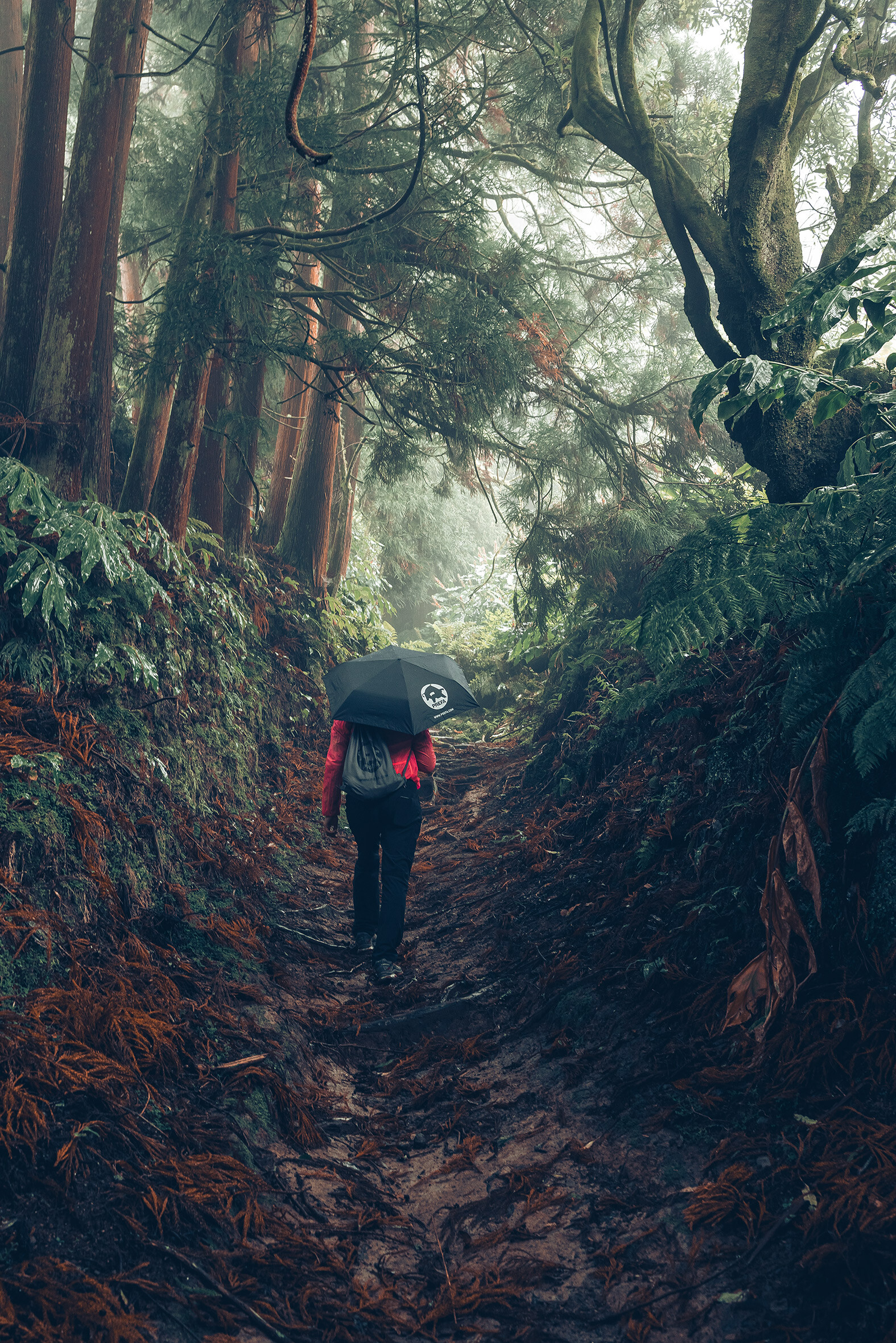 Photo : promeneuse en forêt, en veste rouge avec parapluie et sac à dos PREFA, symbolisant la protection de l’environnement et la durabilité PREFA, ainsi que l’économie circulaire et le recyclage