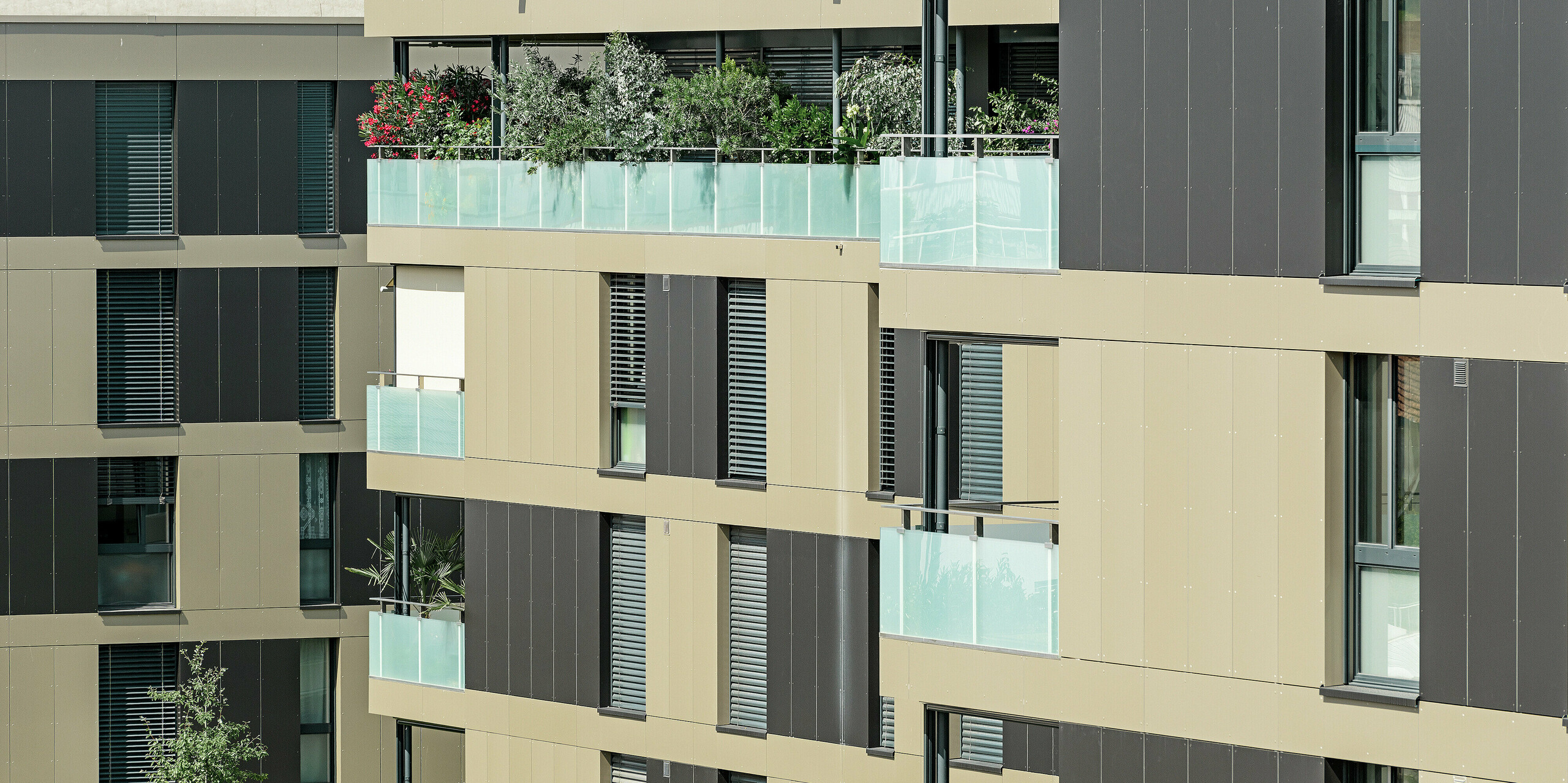 Die PREFA Aluminium Verbundplatten in Bronze und Schwarzgrau verschönern die moderne Wohnanlage in Murten (CH). Durch ihre hohe Widerstandsfähigkeit gegenüber extremen Wetterbedingungen und ihre minimalistische Eleganz bieten sie eine perfekte Lösung für eine langfristig pflegeleichte und stilvolle Fassade.