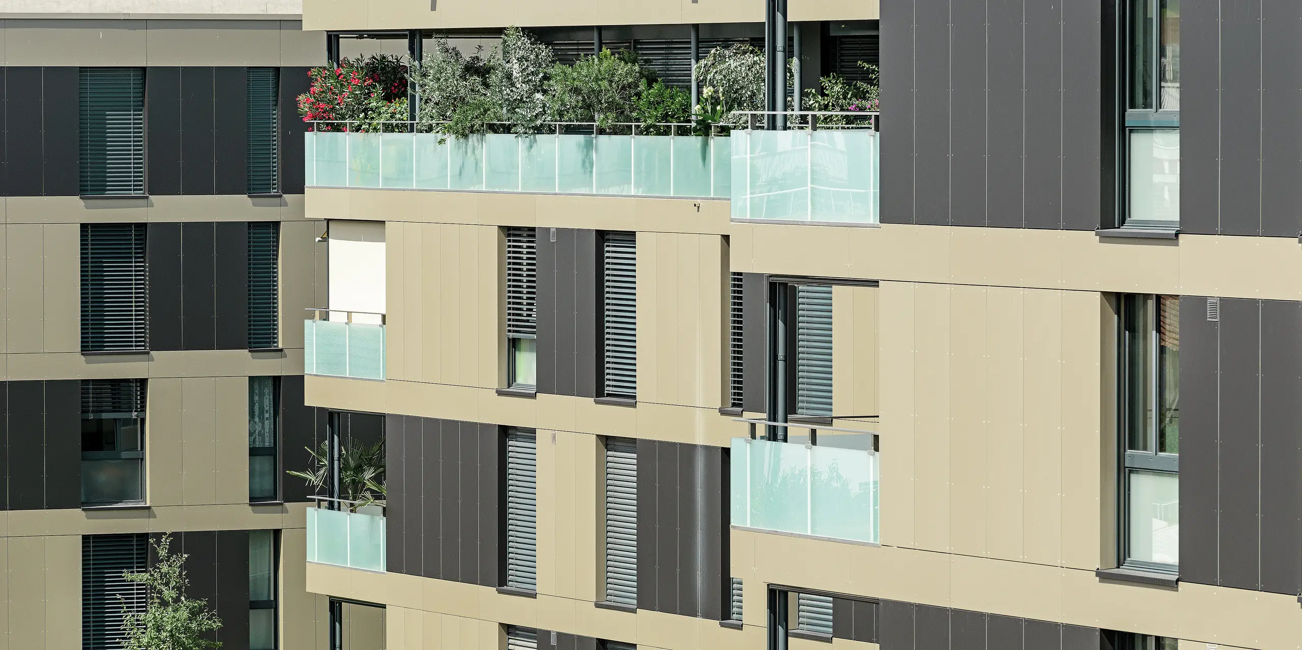 Die PREFA Aluminium Verbundplatten in Bronze und Schwarzgrau verschönern die moderne Wohnanlage in Murten (CH). Durch ihre hohe Widerstandsfähigkeit gegenüber extremen Wetterbedingungen und ihre minimalistische Eleganz bieten sie eine perfekte Lösung für eine langfristig pflegeleichte und stilvolle Fassade.
