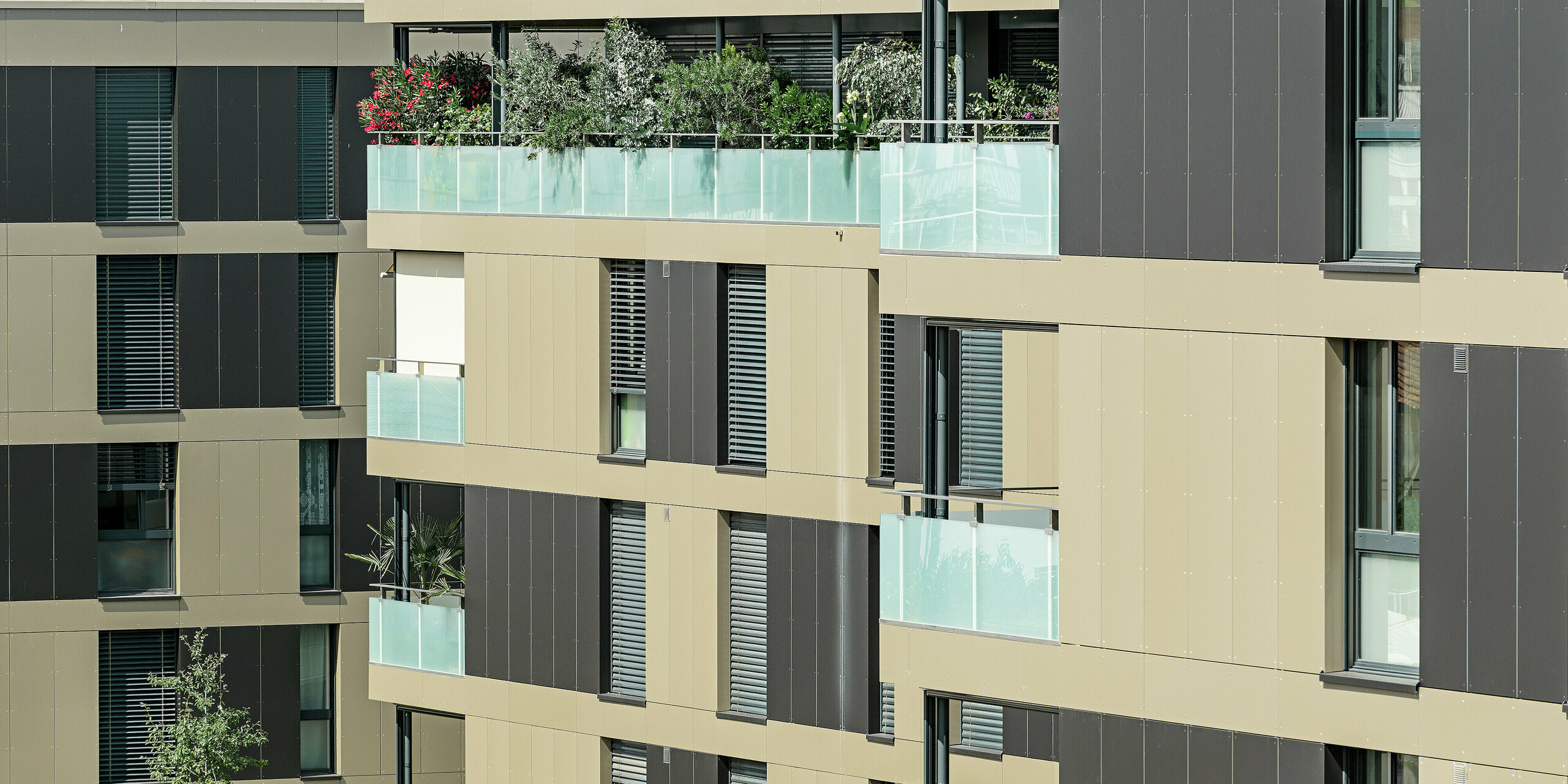 Complexe résidentiel aux immeubles cubiques — Façades en aluminium PREFA de couleur bronze avec des éléments gris noir