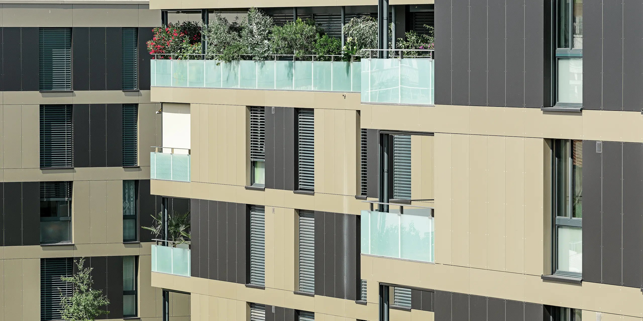 Complexe résidentiel aux immeubles cubiques — Façades en aluminium PREFA de couleur bronze avec des éléments gris noir