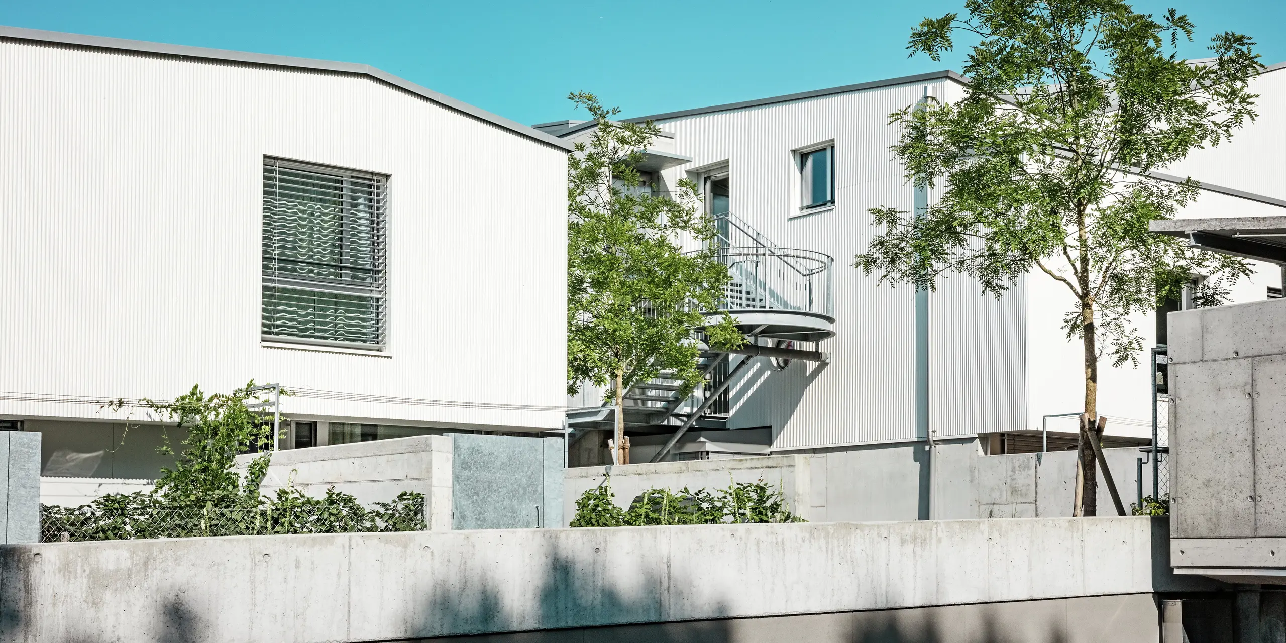 Blick auf den modernen Tiny Homes Wohnkomplex in Zollikerberg mit Fassaden aus PREFA Zackenprofil in P.10 Reinweiß. Die präzise Linienstruktur des stranggepressten Aluminiums erzeugt ein elegantes Lichtspiel, während bodentiefe Fenster und eine markante Außentreppe das architektonische Bild auflockern. Die PREFA Materialien bieten langlebigen Schutz, sind pflegeleicht und perfekt für kompakte Bauformen geeignet.